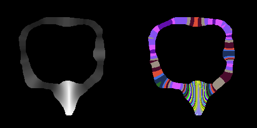 2D thickness computation on a ring shape, showing the harmonic field between boundaries